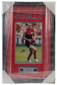 MELBOURNE - TOM SCULLY: display featuring action colour photo of Melbourne's 2009 No 1 draft pick, SIGNED BY SCULLY: framed & glazed, overall 60x39cm.