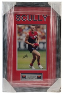 MELBOURNE - TOM SCULLY: display featuring action colour photo of Melbourne's 2009 No 1 draft pick, SIGNED BY SCULLY: framed & glazed, overall 60x39cm.