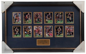 ADELAIDE: display featuring 12 player signed 'Select 2007' football cards including Mark Ricciuto and Andrew Mcleod, plus two current AFL senior coaches Simon Goodwin (Melbourne) & Ben Rutten (Essendon); framed and glazed, overall 43x70cm. Australian Spor