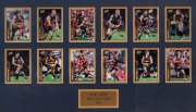 ADELAIDE: display featuring 12 player signed 'Select 2007' football cards including Mark Ricciuto and Andrew Mcleod, plus two current AFL senior coaches Simon Goodwin (Melbourne) & Ben Rutten&nbsp;(Essendon); framed and glazed, overall 43x70cm. Australian&nbsp;Spor - 2
