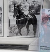 'LEGENDS OF THE GOLDEN ERA - PHAR LAP, TULLOCH & KINGSTON TOWN': window mounted display&nbsp;with triptych&nbsp;of images, the latter image of Kingston Town signed by jockey Malcolm Johnston; framed & glazed, overall 30x54cm: also mounted colour image of 1994 Melbo - 2