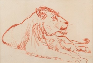 JAMES MINOGUE (1890-1955), lion sketch, pencil on paper, inscribed verso "Sketch by James Minogue 1890-1955", ​​​​​​​19 x 27cm, 54 x 54cm overall