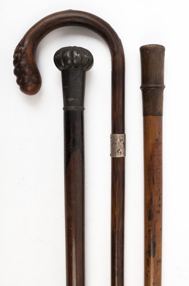 Three assorted antique walking sticks, 19th and early 20th century, the ...