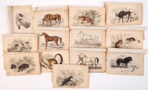 HANDCOLOURED STEEL ENGRAVINGS of animals by Lizars after illustrations by James Stewart, comprising Badger, Common Otter, Dormouse, Fox, Setter, Shetland Pony & Squirrel; also similar engravings, showing mostly horses, after Charles Hamilton Smith; engravings originally appeared as plates in William Jardine's "Naturalist's Library" (pub. Edinburgh, 1836); all 10x16.5cm, condition variable. (13)