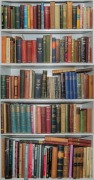 A collection of books over several shelves; very diverse subjects and condition; mainly hardcover. (130+)