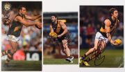 RICHMOND - SIGNED PLAYER PHOTOS: selection including Wayne Campbell, Jack Riewoldt, Jake King, Dustin Martin,&nbsp; various sizes, largest 20x30cm, generally very good condition.&nbsp;(10) - 3