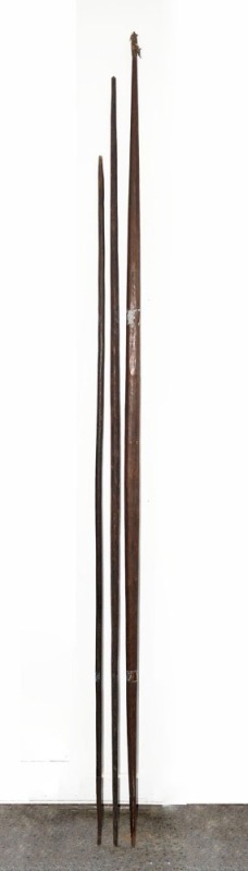 Spear thrower and two artefacts, palm wood and fibre, Papua New Guinea, the largest 200cm high