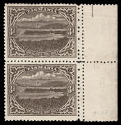TASMANIA: 1905-11 (SG.253c) 3d brown, perforated 12&frac12; x 11 vertical marginal pair, both units also displaying the double vertical row of different gauged perforations at right. Upper unit Mint; lower unit MUH. Cat.&pound;850+.