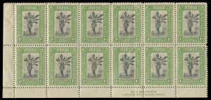 PAPUA:1932 (SG.131) 1d Steve, Son of Oala, McCracken Imprint block of (12), MUH; natural paper fold through 2 units. Very scarce.