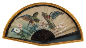 A framed antique hand painted fan with parrots and blossoms, 19th century, 41 x 44cm overall
