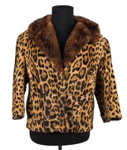 A leopard skin vintage jacket with fur lapel, mid 20th century,
