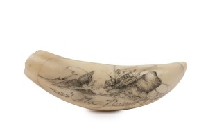 GARY TONKIN "THE FLURRY" scrimshaw whale's tooth, Albany Western Australian, 11.5cm long