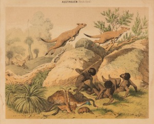 "AUSTRALIEN (NEUHOLLAND)" chromolithograph, 19th century, 20.5 x 25.5cm