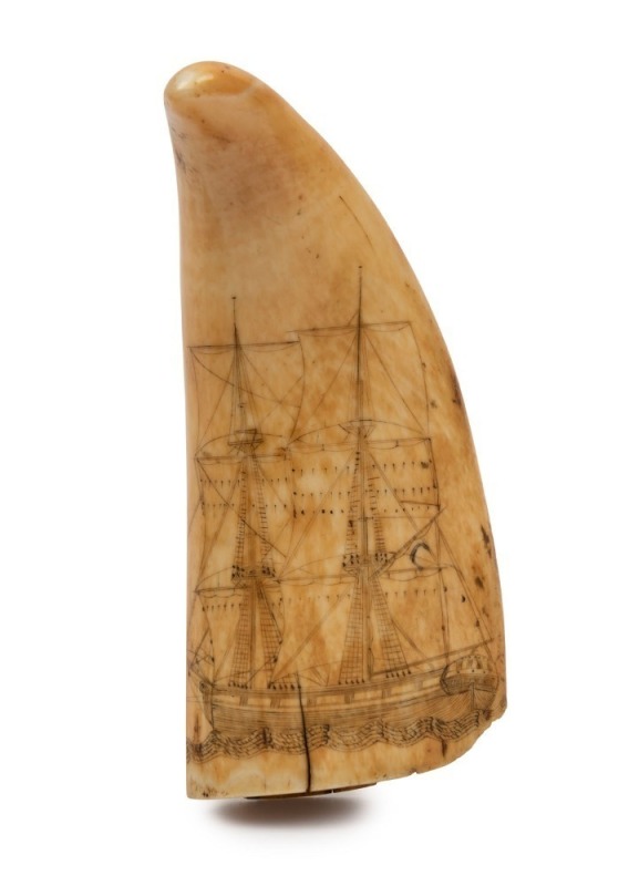 A scrimshaw whale's tooth with tallship, 13cm high