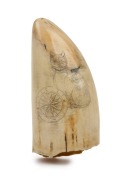 A scrimshaw whale's tooth with portrait of MATTHEW FLINDERS and map of Australia titled "New Holland New South Wales, 1804", with portrait of Trim the cat on the reverse, ​​​​​​​12.5cm high - 2