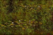 JOHN WALSH (New Zealand, 1954 - ), My Water Lilies, Woodend, oil on board, signed lower right "J. Walsh", 19 x 29cm, 42 x 51cm overall. PROVENANCE: The Richard Chamerski Collection.