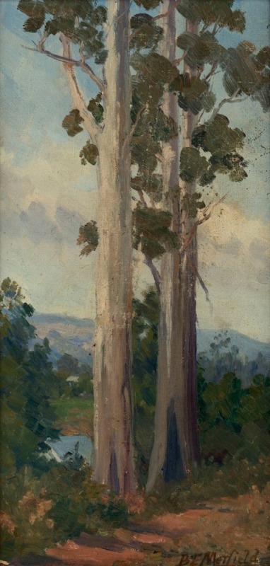 BERTHA MERFIELD (1869-1921),  Twin Gums, oil on board, signed lower right "B. Merfield", title label verso, ​​​​​​​38 x19cm high, 54 x 35cm