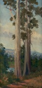 BERTHA MERFIELD (1869-1921),  Twin Gums, oil on board, signed lower right "B. Merfield", title label verso, ​​​​​​​38 x19cm high, 54 x 35cm