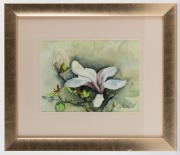 AVRIL FOENANDER, Magnolias, watercolour, signed lower right, 23 x 32cm; framed 46 x 53.5cm overall - 2