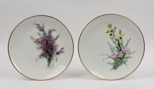 A pair of hand-painted porcelain plates with Australian wildflowers, titled "COMMON WAX-FLOWER" and "MANY HEADED OXYLOBIUM SNAKEBUSH", painted on Rosenthal German porcelain blanks, ​​​​​​​34cm diameter