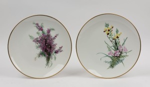 A pair of hand-painted porcelain plates with Australian wildflowers, titled "COMMON WAX-FLOWER" and "MANY HEADED OXYLOBIUM SNAKEBUSH", painted on Rosenthal German porcelain blanks, 34cm diameter
