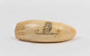 A scrimshaw whale's tooth engraved with a sailing ship, signed "J.F.C.", 9cm long