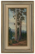 BERTHA MERFIELD (1869-1921),  Twin Gums, oil on board, signed lower right "B. Merfield", title label verso, ​​​​​​​38 x19cm high, 54 x 35cm - 2