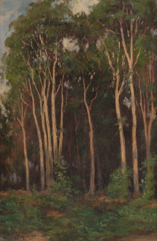 ARTIST UNKNOWN, (bush scene) oil on board, signed lower left (illegible), ​​​​​​​30 x 20cm, 38 x 28cm overall