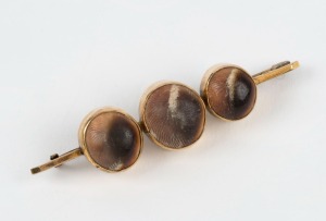 An antique Australian 9ct yellow gold brooch, set with three shells, late 19th century, stamped "9ct", 5.5cm wide, 6.5 grams