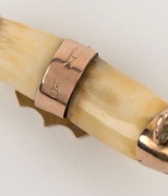An antique tiger's tooth brooch, set in 9ct rose gold, 19th century, stamped "9ct" with pictorial marks (illegible), ​​​​​​​5.8cm wide - 2