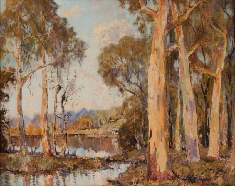 ANDREW PARK (working 1940s to 1960s), Gums By The River, oil on board,  signed lower right "Andrew Park", 39 x 49cm, ​​​​​​​55 x 66cm overall