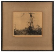 THEODORE PENLEIGH BOYD (1890-1923), Edge Of The Clearing, engraving, 19/40, signed and titled in the lower margin, ​​​​​​​22 x 26cm, 45 x 47cm overall - 2