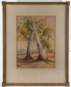 GEORGE COLVILLE (1887-1970), (gumtrees in landscape), watercolour, signed lower right "Geo. Colville", ​​​​​​​39 x 30cm, 64 x 51cm overall - 2