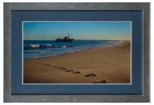PASHA BULKER framed colour photograph of the ill-fated ship run aground at the Nobbies (Newcastle, N.S.W.); together with a framed photograph of the SYGNA. the larger 54 x 80cm overall