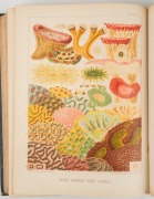 W. SAVILLE-KENT, "The Great Barrier Reef of Australia; Its Products and Potentialities.", [W.H.Allen & Co., London, 1893], folio, orig. blue cloth with gilt title on front cover; (xx, 387pp.). With 48 full-page b/w plates, 16 full-page chromo-lithograph c - 2