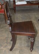 A pair of early Colonial Australian cedar hall chairs with finely carved shell backs and applied roundels, New South Wales origin, circa 1840, 87cm high. ​​​​​​​PROVENANCE: The Windeyer Family, New South Wales. - 13