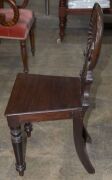 A pair of early Colonial Australian cedar hall chairs with finely carved shell backs and applied roundels, New South Wales origin, circa 1840, 87cm high. ​​​​​​​PROVENANCE: The Windeyer Family, New South Wales. - 15