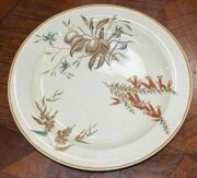 WEDGWOOD "Australian Flora" rare set of 4 porcelain plates, circa 1880, ​24.5cm diameter - 7