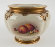ROYAL WORCESTER impressive English porcelain jardiniere with hand-painted fruit, signed "RICKETTS", circa 1925, puce factory mark to base, 20cm high, 25cm wide - 2
