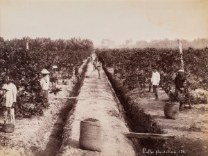 GUSTAVE RICHARD LAMBERT SINGAPORE & MALAYA IMAGES: albumen paper prints, circa 1880s, photographer’s blind stamp on image lower right, all titled in the plate, approx. 20.5 x 27.5cm. (6). Titles "Entrane to Cairnhill, S'pore", "Sago Plantation; "Coffee P