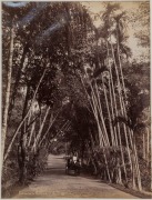 GUSTAVE RICHARD LAMBERT SINGAPORE & MALAYA IMAGES: albumen paper prints, circa 1880s, photographer’s blind stamp on image lower right, all titled in the plate, approx. 20.5 x 27.5cm. (6). Titles "Entrane to Cairnhill, S'pore", "Sago Plantation; "Coffee P - 2