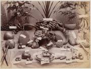 GUSTAVE RICHARD LAMBERT SINGAPORE & MALAYA IMAGES: albumen paper prints, circa 1880s, photographer’s blind stamp on image lower right, all titled in the plate, approx. 20.5 x 27.5cm. (6). Titles "Entrane to Cairnhill, S'pore", "Sago Plantation; "Coffee P - 5