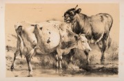 THOMAS SIDNEY COOPER, Groups of Cattle, drawn from nature, [London : Ackermann & Co.], 1839 first edition. Elephant folio, handsomely bound in contemporary half red morocco over marbled boards with five raised bands to the spine, compartments decorated in