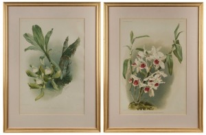 HENRY GEORGE MOON (1857 - 1905) A pair of horticultural chromolithographs: "Cychnoches Chlorochilon" and "Dendrobium Leechianum", being two plates from "Reichenbachia" published by Henry Sander circa 1890, individually framed and glazed, each 70 x 52cm ov