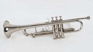 TRISTAR Indian trumpet in case, the case 52cm wide