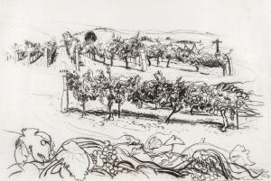 BRETT WHITELEY (1939 - 1992) Max Lake’s Vineyard, Hunter Valley, crayon, ink and watercolour on paper, signed, titled and dated ’76 at lower right, 50 x 76cm. Cat. 140.75 (Catalogue raisonné) Max Lake’s Vineyard 1975–76 Exhibited: Brett Whiteley: Drawings, Marlborough Prints and Drawings Gallery, New York, 1975, cat. 22 (titled as above).