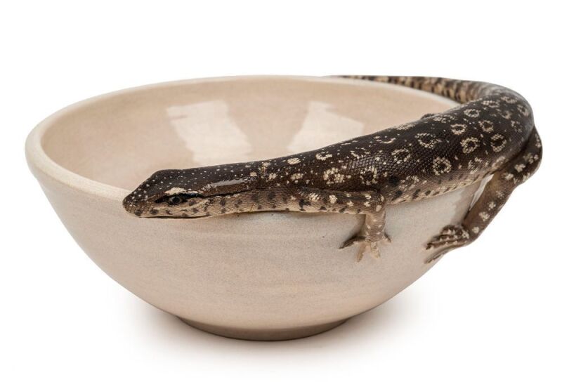 JANET pottery bowl adorned with an applied lace monitor lizard, incised "Janet, '99", ​​​​​​​11cm high, 16.5cm wide