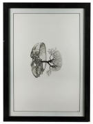 MICHAEL NEEDHAM (b.1977), Cerebral Chasm (splenic artery), 2012, graphite on cartridge paper, initialled and dated lower right, 53 x 36cm; framed 64 x 47cm. Exhibited: Between the Object and the Shadow, Daine Singer, Melbourne, 2012. - 2