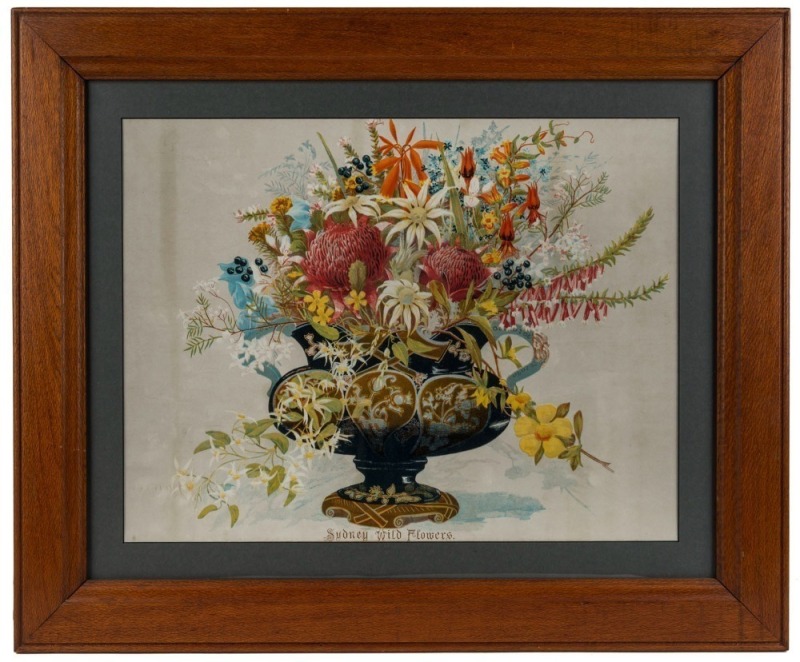 ARTIST UNKNOWN (19th century), Sydney Wild Flowers,  chromolithograph,  housed in silky oak frame,  ​​​​​​​61cm x 74cm overall