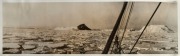 THE B.A.N.Z. ANTARCTIC EXPEDITION: Official original photograph by Captain Frank Hurley: Image A47 - Title: "New Discoveries in Antarctica", with official "MAWSON ANTARCTIC EXPEDITION" handstamp and release date "TUESDAY APR 29, 1930" verso, together with